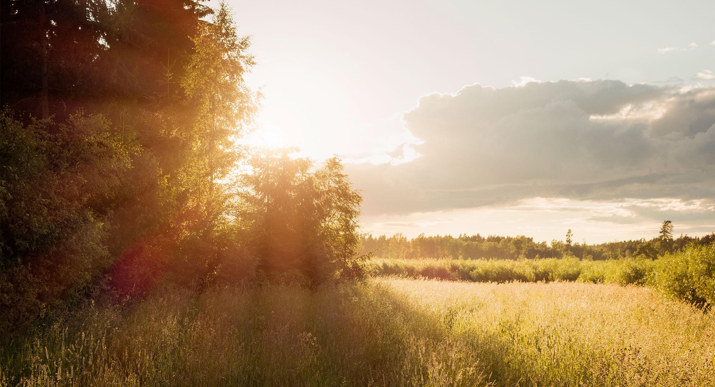 Cirkulär ekonomi är framtiden | Renova